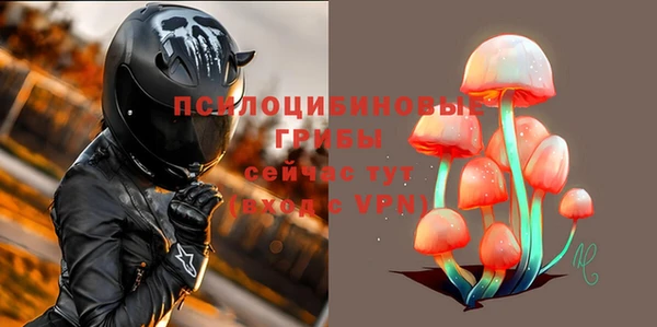 apvp Покровск