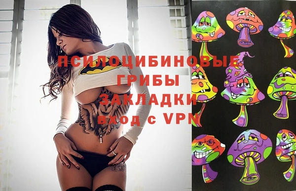 мяу мяу мука Покров