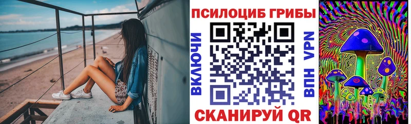 Галлюциногенные грибы MAGIC MUSHROOMS  гидра сайт  даркнет как зайти  Фокино 